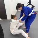 링 종합격투기 이미지