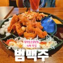 범PC | 동탄 호수공원 핫한 범꽃맥주, 치맥, 피맥 맛집! &#39;범맥주&#39; 내돈내산 솔직후기