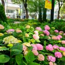 나루아트센터 대공연장 이미지