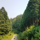 수남농장 이미지