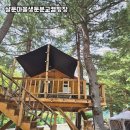 살둔마을 | 강원도 홍천 자연 속 힐링 캠핑장, 살둔마을생둔분교캠핑장 솔직후기 🌲⛺