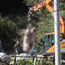 박정호농장(1농장) 이미지