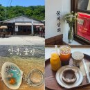 울진상회 | 울진카페 울진기념품도 살 수 있는 후포리 오션뷰카페 물치상회 내돈내산 솔직후기