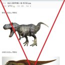 티라노