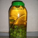 돌봉숭아,도인(桃仁) 이미지