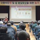 미인컨설팅