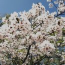 앙덕리 쉼터 이미지