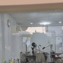 빛고을애견샵 | 광주애견분양 광주애견미용 광주애견샵 쌍촌동애견미용 광주서구애견미용 상무지구애견미용 크리스탈
