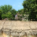 동학교당주차장 이미지