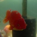 청수원탕 이미지