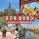 (주)더블유투어월드 | 푸꾸옥 가족여행 빈펄 사파리 빈원더스 그랜드월드 북부 투어