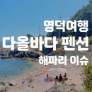 다올마트 | 영덕 펜션 다올바다 후기 해파리 이슈 / 영덕마트 / 축산항 어시장