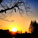 글로벌 행정사 이미지