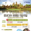 팔성관광 이미지