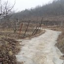 은혜네집 이미지