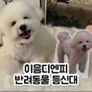 이음디앤피에서 만든 세상에 하나뿐인 반려동물 등신대 만들기 강아지굿즈 추천