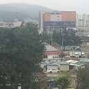 일등마켓 Daum카페