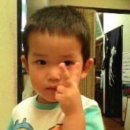 호티천 | 밴쿠버 워홀일기 #5 딥코브 / 버나비레이크 / 팀홀튼 / 어학원 졸업 / 놀밴 /