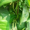 원두골농장 이미지