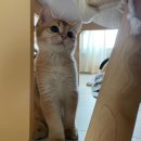 유성튼튼동물병원 이미지