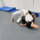 강류합기도 목동도장 이미지