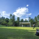 강아지테마파크 이미지