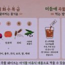 오방농장 이미지