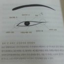 관상학 이미지