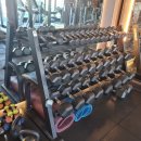 머슬핏 피트니스 이미지