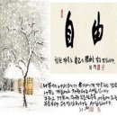 나뭇잎 배 이미지