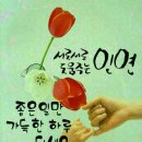 그래이 이미지