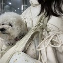 포레스트명례