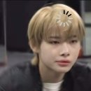 엔하아픈 포토이즘 후기 + 꿀팁