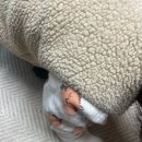 대인외과내과의원 이미지