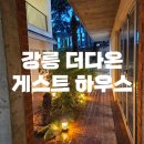 강릉 더다온 게스트 하우스 1인실 내돈내산 후기