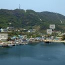 양지-3575 이미지