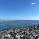 열두달애월 | 2년 만에 혼자 제주여행 - part1