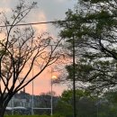 안용 | 페이레네 대여복 셀렉(3벌), 스튜디오 촬영준비, 신랑 꿀팁