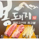 봉돼지