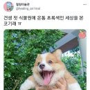 바캉스데빠헝 이미지
