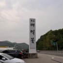 춘산메밀꽃 | [공주 맛집_석장리 구석기 축제] '춘산 메밀꽃' 후기 !! 맛있는 막국수, 수육, 웨이팅, 주차, 내돈내산