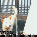 백구