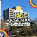 로얄관광호텔 | 부곡 하와이 온천 가족탕 추천 부곡 로얄관광호텔 이용후기 및 이용꿀팁