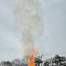 순흥초등학교 이미지