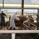 대구가축병원 이미지