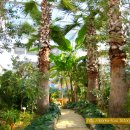 고산자연휴양림 캠핑장 입구 이미지