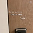 스테이 심심 이미지