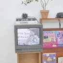 화원 | 수원 사진관 추천: 수원 100일 촬영 화원사진관 후기