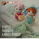 라이브펫 이미지