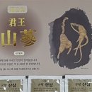 서금상사 이미지